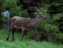 extant_XenaWarriorPrincess_6x06-TheAbyss_00138