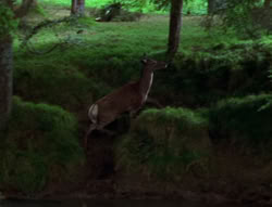 extant_XenaWarriorPrincess_6x06-TheAbyss_00166