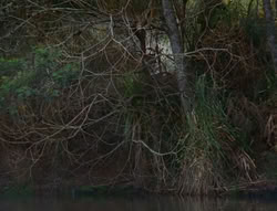 extant_XenaWarriorPrincess_6x06-TheAbyss_00214