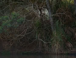 extant_XenaWarriorPrincess_6x06-TheAbyss_00215