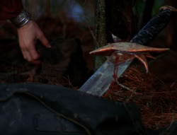 extant_XenaWarriorPrincess_6x06-TheAbyss_00236