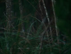 extant_XenaWarriorPrincess_6x06-TheAbyss_00289
