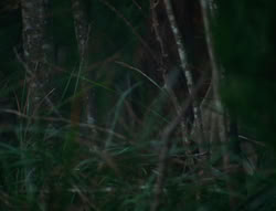 extant_XenaWarriorPrincess_6x06-TheAbyss_00290