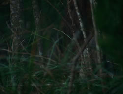 extant_XenaWarriorPrincess_6x06-TheAbyss_00291