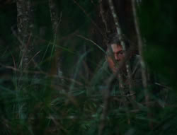 extant_XenaWarriorPrincess_6x06-TheAbyss_00295