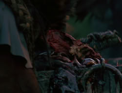 extant_XenaWarriorPrincess_6x06-TheAbyss_00312
