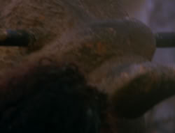 extant_XenaWarriorPrincess_6x06-TheAbyss_00327