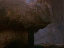 extant_XenaWarriorPrincess_6x06-TheAbyss_00331