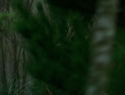 extant_XenaWarriorPrincess_6x06-TheAbyss_00515