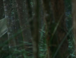 extant_XenaWarriorPrincess_6x06-TheAbyss_00518