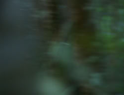 extant_XenaWarriorPrincess_6x06-TheAbyss_00520
