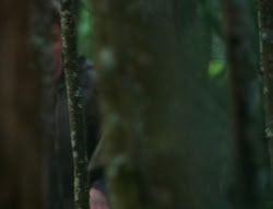 extant_XenaWarriorPrincess_6x06-TheAbyss_00522