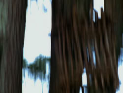extant_XenaWarriorPrincess_6x06-TheAbyss_00530