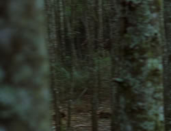 extant_XenaWarriorPrincess_6x06-TheAbyss_00558