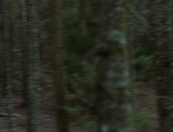 extant_XenaWarriorPrincess_6x06-TheAbyss_00559