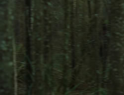 extant_XenaWarriorPrincess_6x06-TheAbyss_00562