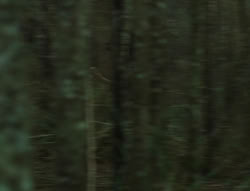 extant_XenaWarriorPrincess_6x06-TheAbyss_00563