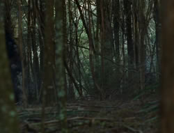 extant_XenaWarriorPrincess_6x06-TheAbyss_00566