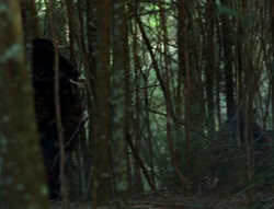 extant_XenaWarriorPrincess_6x06-TheAbyss_00568