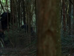 extant_XenaWarriorPrincess_6x06-TheAbyss_00570