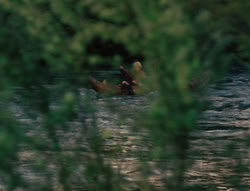 extant_XenaWarriorPrincess_6x06-TheAbyss_00622