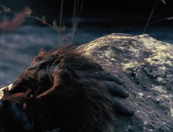 extant_XenaWarriorPrincess_6x06-TheAbyss_00632