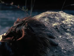 extant_XenaWarriorPrincess_6x06-TheAbyss_00633