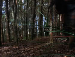 extant_XenaWarriorPrincess_6x06-TheAbyss_00640
