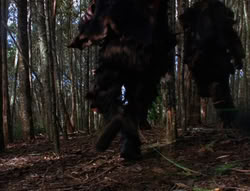 extant_XenaWarriorPrincess_6x06-TheAbyss_00641