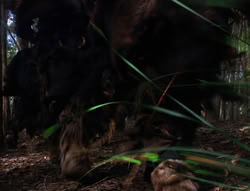 extant_XenaWarriorPrincess_6x06-TheAbyss_00643
