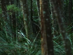 extant_XenaWarriorPrincess_6x06-TheAbyss_00644