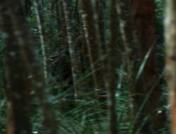 extant_XenaWarriorPrincess_6x06-TheAbyss_00645