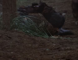 extant_XenaWarriorPrincess_6x06-TheAbyss_00665
