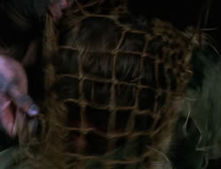 extant_XenaWarriorPrincess_6x06-TheAbyss_00671