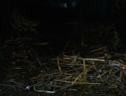 extant_XenaWarriorPrincess_6x06-TheAbyss_00679