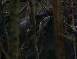 extant_XenaWarriorPrincess_6x06-TheAbyss_00683