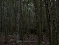 extant_XenaWarriorPrincess_6x06-TheAbyss_00685