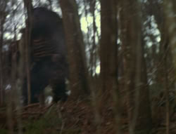 extant_XenaWarriorPrincess_6x06-TheAbyss_00766
