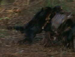 extant_XenaWarriorPrincess_6x06-TheAbyss_00775