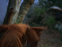 extant_XenaWarriorPrincess_6x06-TheAbyss_00814