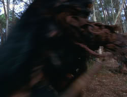 extant_XenaWarriorPrincess_6x06-TheAbyss_00824