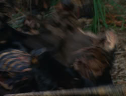 extant_XenaWarriorPrincess_6x06-TheAbyss_00827