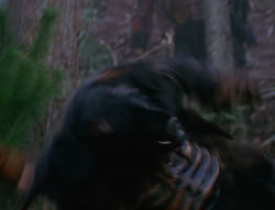extant_XenaWarriorPrincess_6x06-TheAbyss_00834