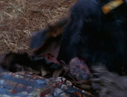 extant_XenaWarriorPrincess_6x06-TheAbyss_00851
