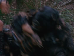extant_XenaWarriorPrincess_6x06-TheAbyss_00852