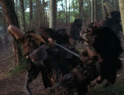 extant_XenaWarriorPrincess_6x06-TheAbyss_00870