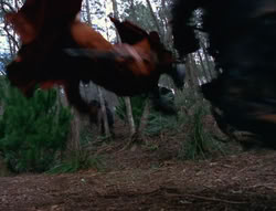 extant_XenaWarriorPrincess_6x06-TheAbyss_00874