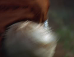 extant_XenaWarriorPrincess_6x06-TheAbyss_00889