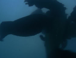 extant_XenaWarriorPrincess_6x06-TheAbyss_00964