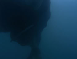 extant_XenaWarriorPrincess_6x06-TheAbyss_01000